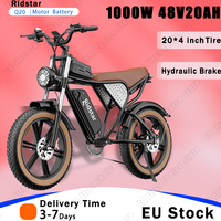 Ridstar Q20 Electric Bike 1000W Powerful Motor 48V20AH Battery E-bike Hydraulic Brake 20*4.0 Inch Fat Tire Snow Electric Bicycle