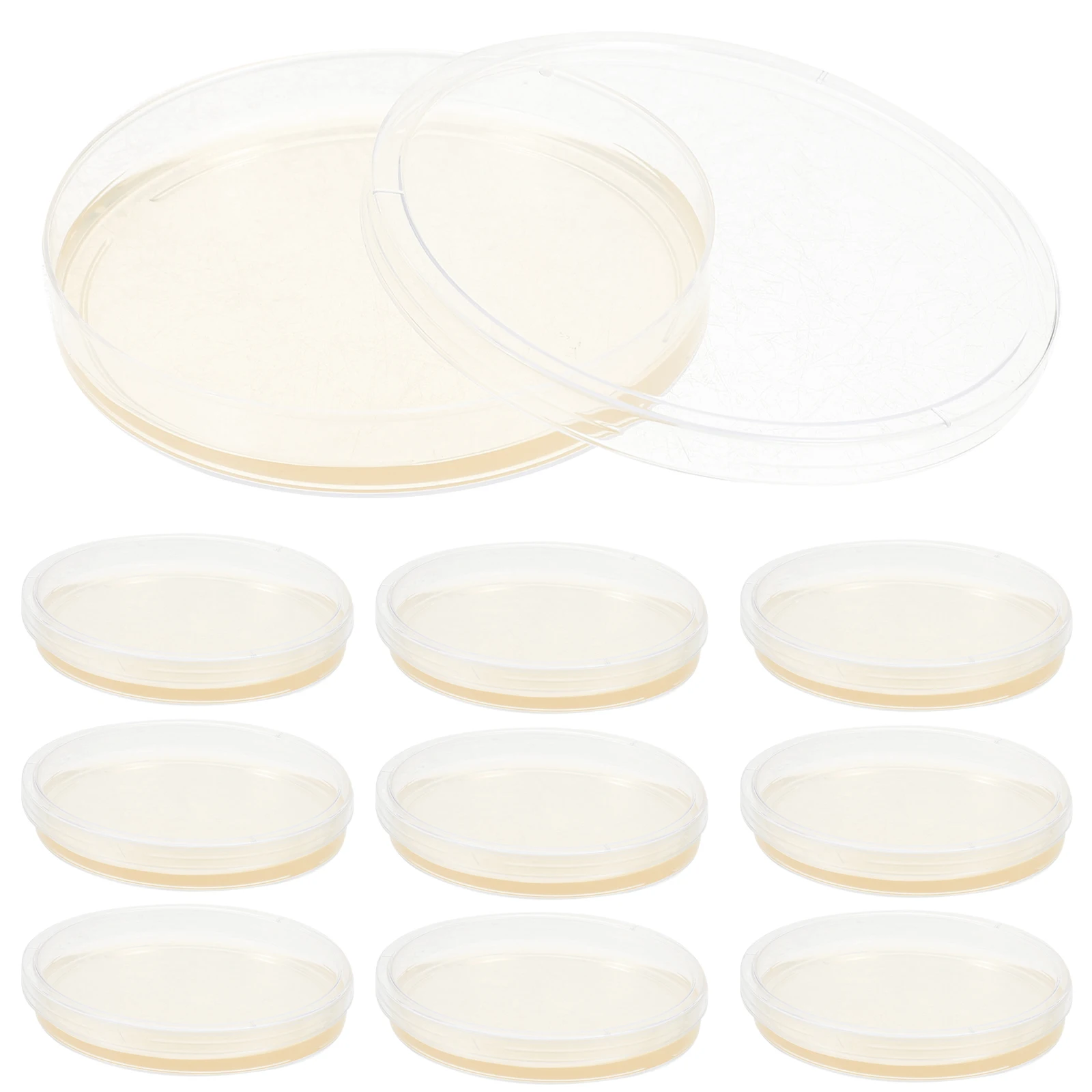 Placas de petri de ágar pré-vertidas portáteis, placas de petri de ágar, projetos científicos, prato de cultura de laboratório, teste de petri de plástico selado para crianças com 10 peças