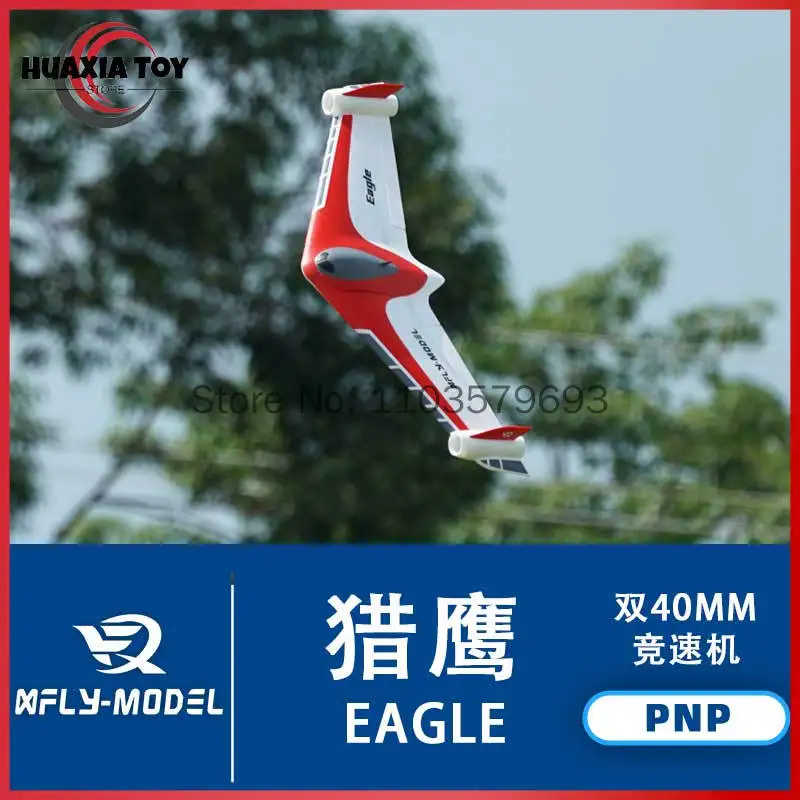 Xfly Rc Flying Wing Model Aircraft Dual 40mm Epo Eagle Outdoor Flying For Adult Remote Control Hobby Enthusiasts