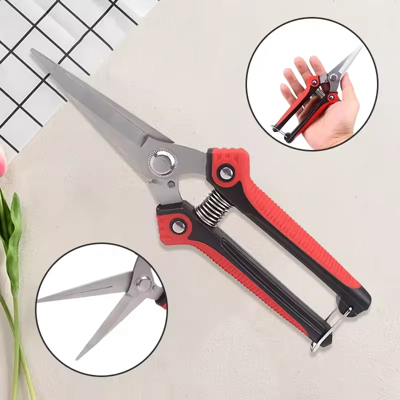 Trimming Tools Pruning Shear B - Gardening Tools Sharp review and price