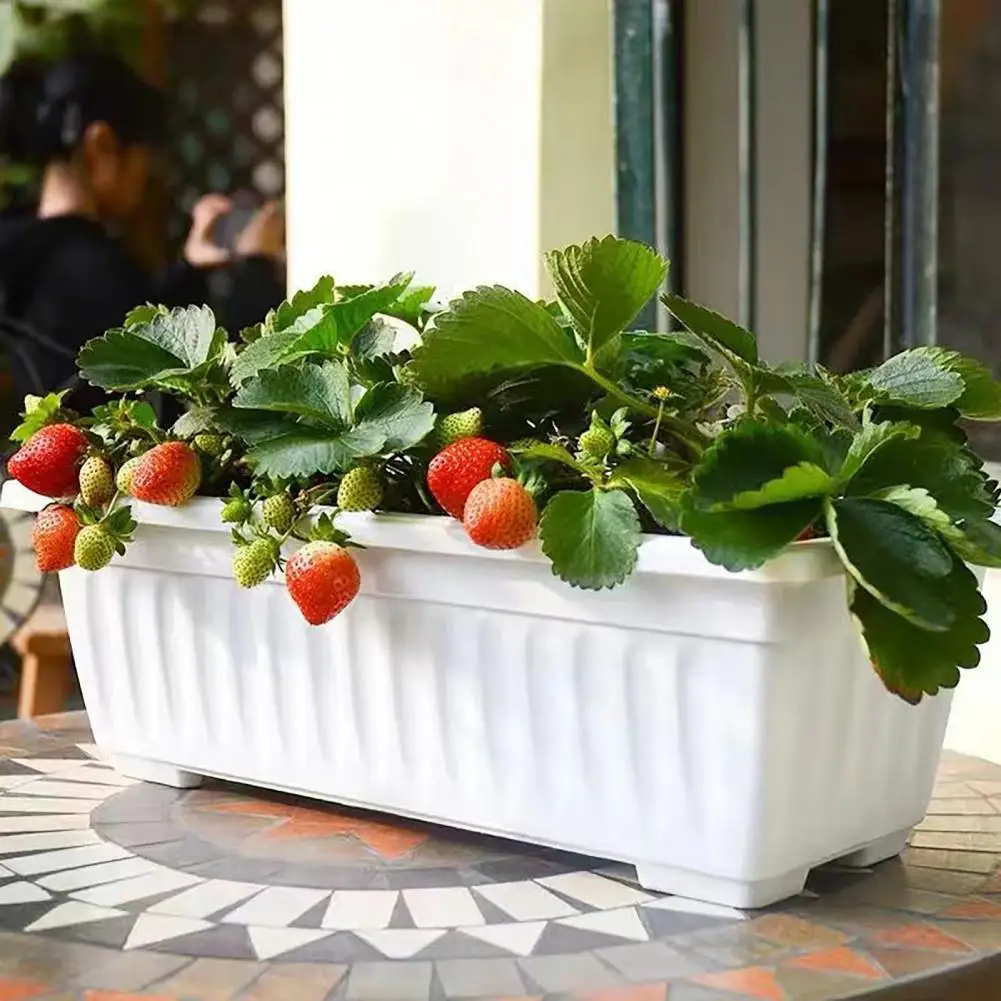 Eco-friendly Flower Holder Flowerpot Capacity Indoor Rectangular Vegetable Growing Box Durable Herb Planter for Garden Supplies