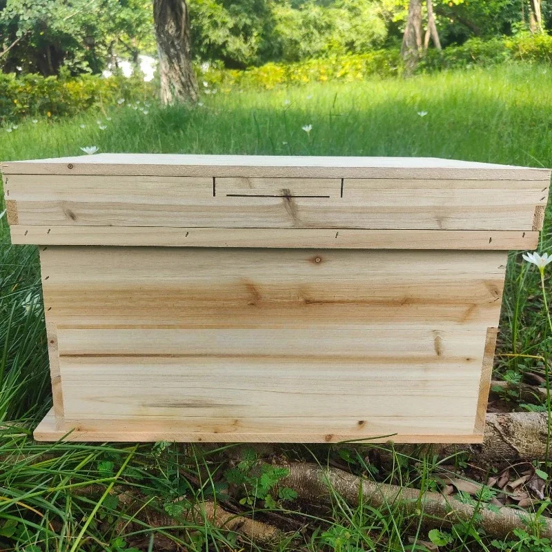 Transparent Bee Hive Automatic Harvesting Apiculture Equipment Méhészeti Szkök Indoor Beehive Box Cover Beekeeping Materials