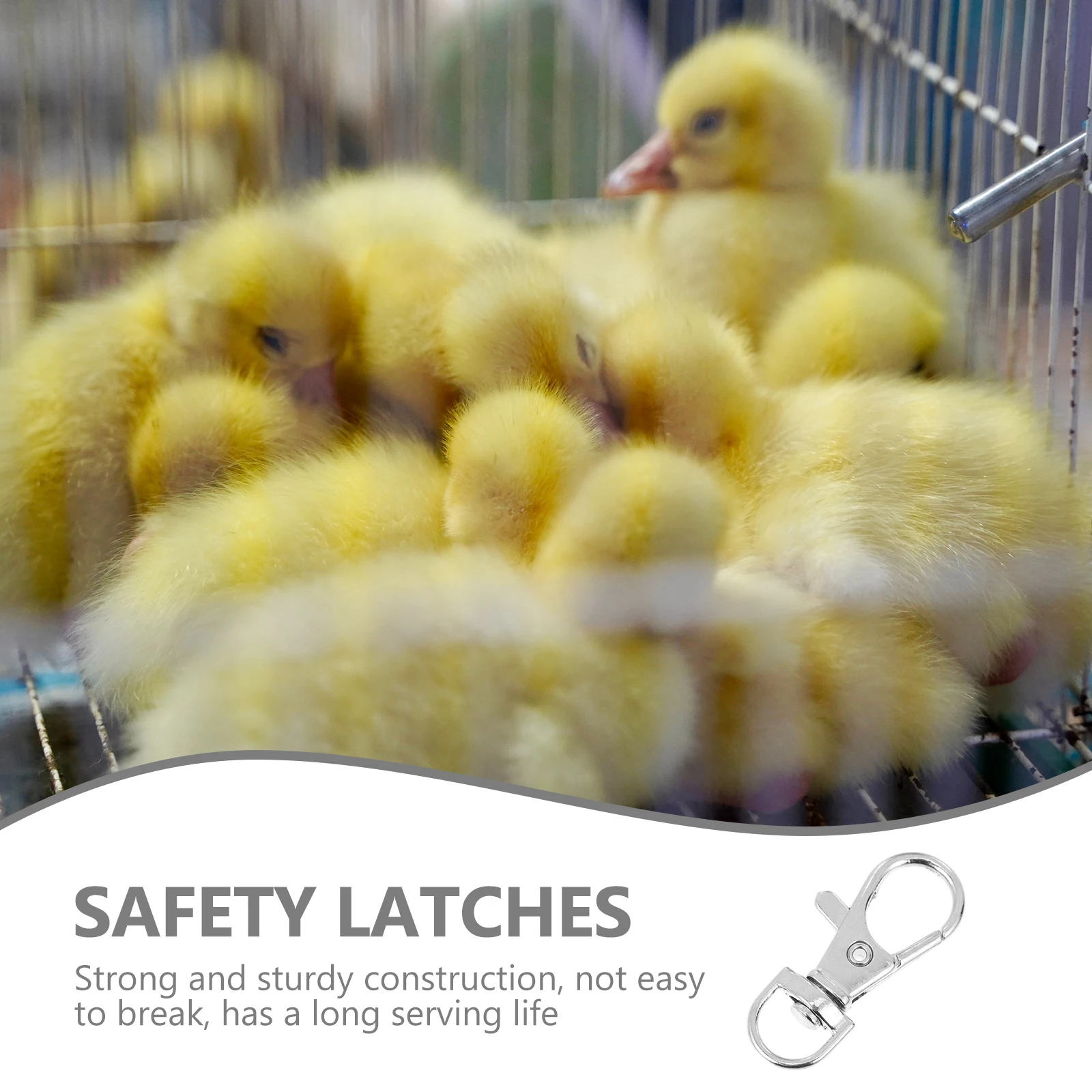 

20 Pcs Cage Door Locks Sturdy Metal Bird Cage Accessories Anti Escape Buckle Lobster Clasps Farm Use Durable Parrot