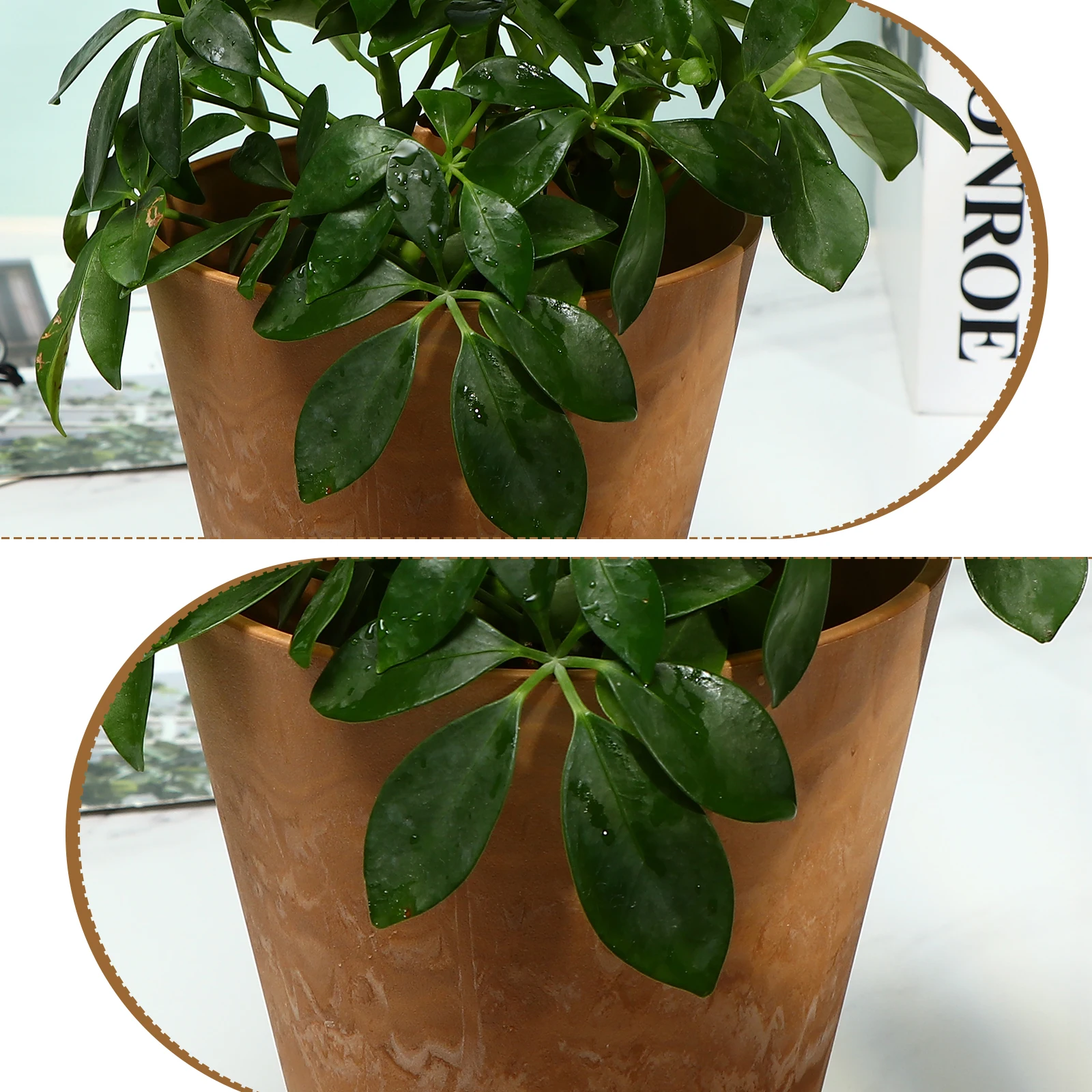 

Plastic Pot Simple Flower Pots For Succulents Cactus Small Plants Indoor Garden Decorative Balcony Resin Plant Pot Household