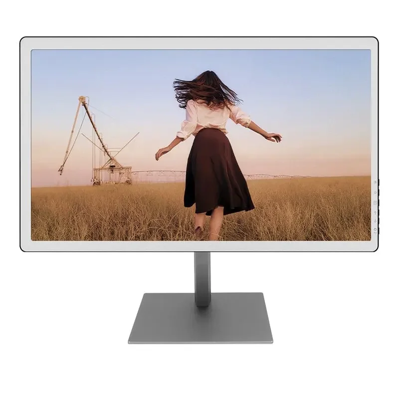 Bigme b251 e ink 25.3インチ　カラー　電子ペーパー　モニター Monitor de Computador Bigme B251, Tela Colorida E-Ink de 25,3