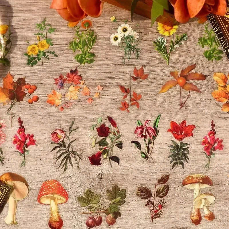 100pcs large PET Sticker Leaves Fall portion Supplies Scrapbook plant Autumn Flower illustrated handbook package 145*97mm