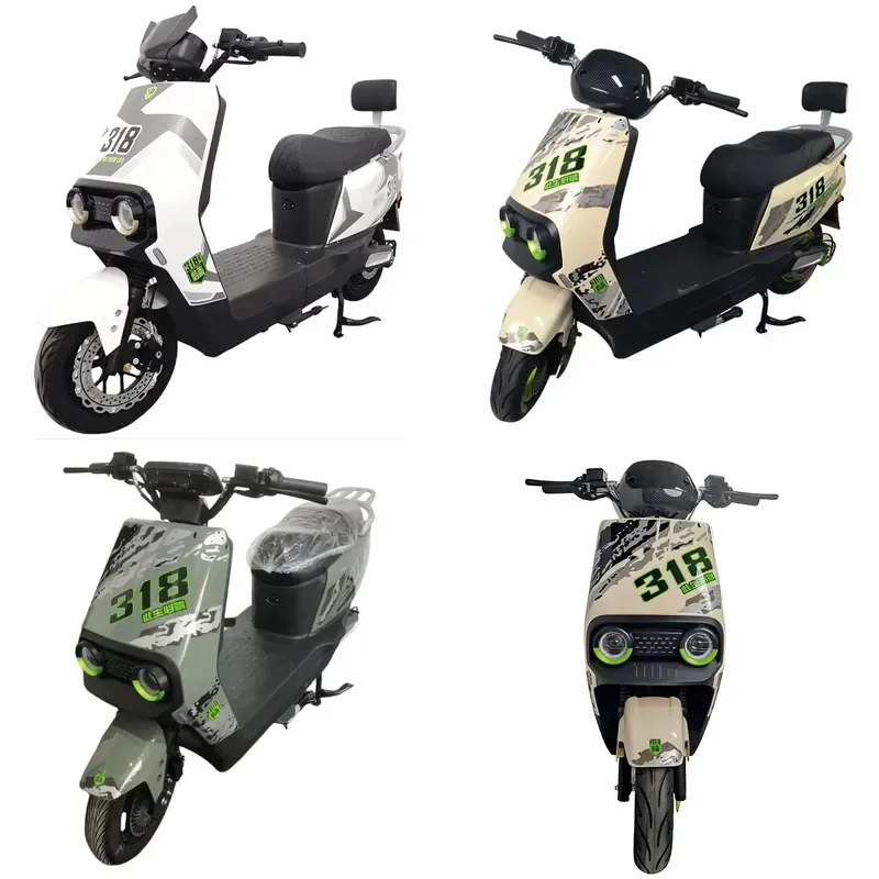 Paige 318 Factory Direct Sale Electric Bike 1000w 72V 20ah for Adult 2 Wheels Moto Battery Ebike Electrica Motorcycle