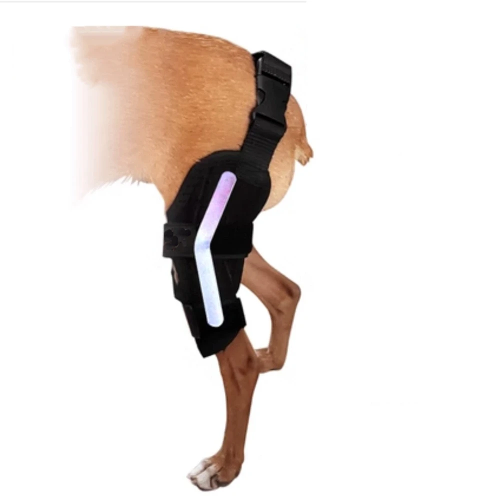 Pet Dog Injury Knee Brace Leg Cruciate Ligament Patella Dislocation Fixation Strap To Protect Stifle Fractures Inflammation Pain