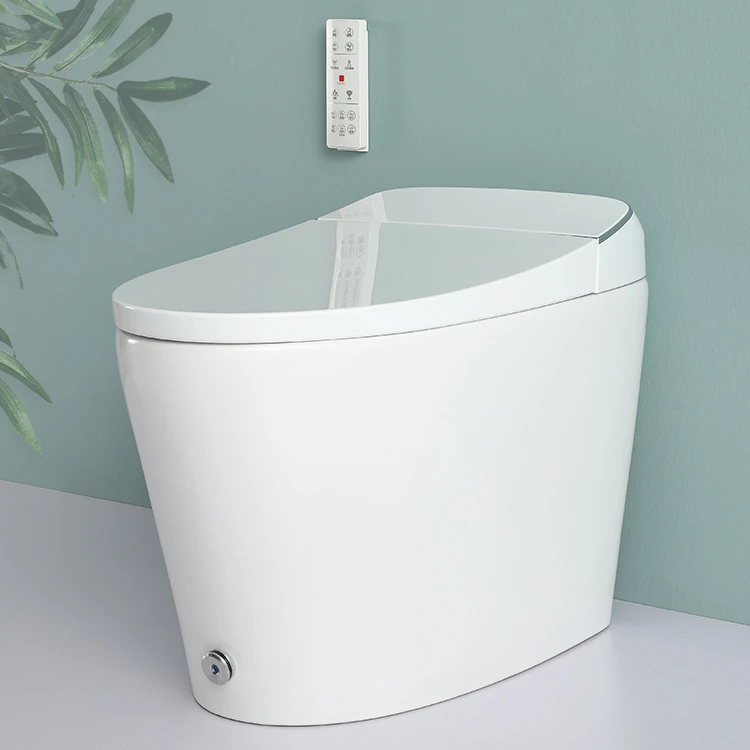 الحمام 220 فولت تجفيف الهواء الدافئ Wc ذكي صوان الاستشعار التلقائي فلاشينغ الكهربائية Tankless مرحاض ذكي