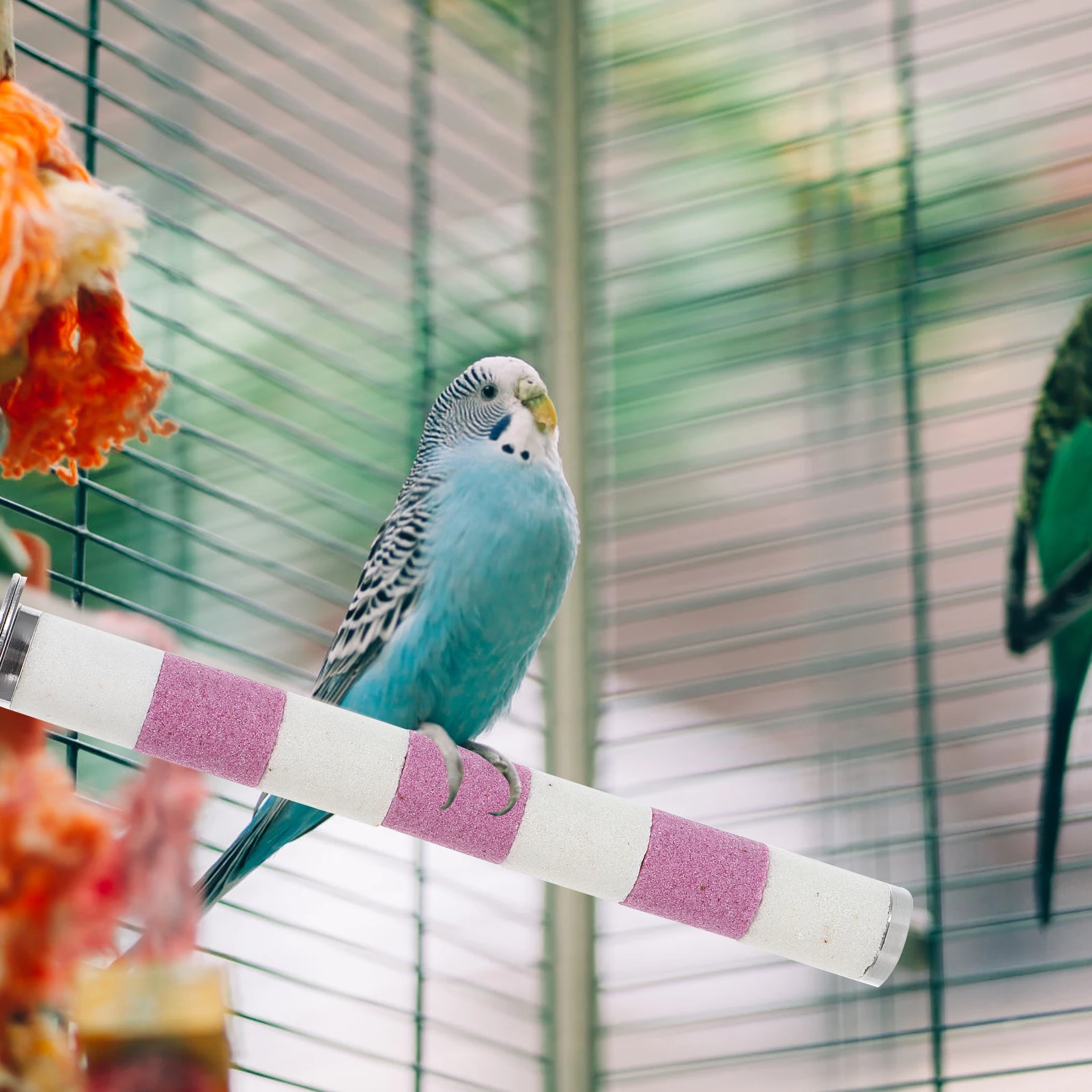 

Stainless Steel Bird Perch Toy Surface Parrot Claw Grinding Cage Accessory Durable Bite Resistant Sturdy Stick Pet