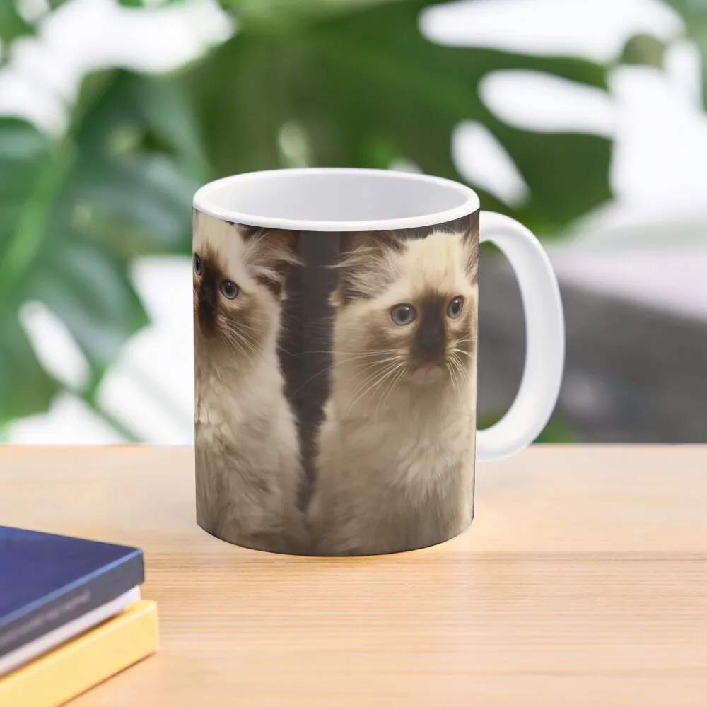 

ragdoll kittens Coffee Mug Tea Cup