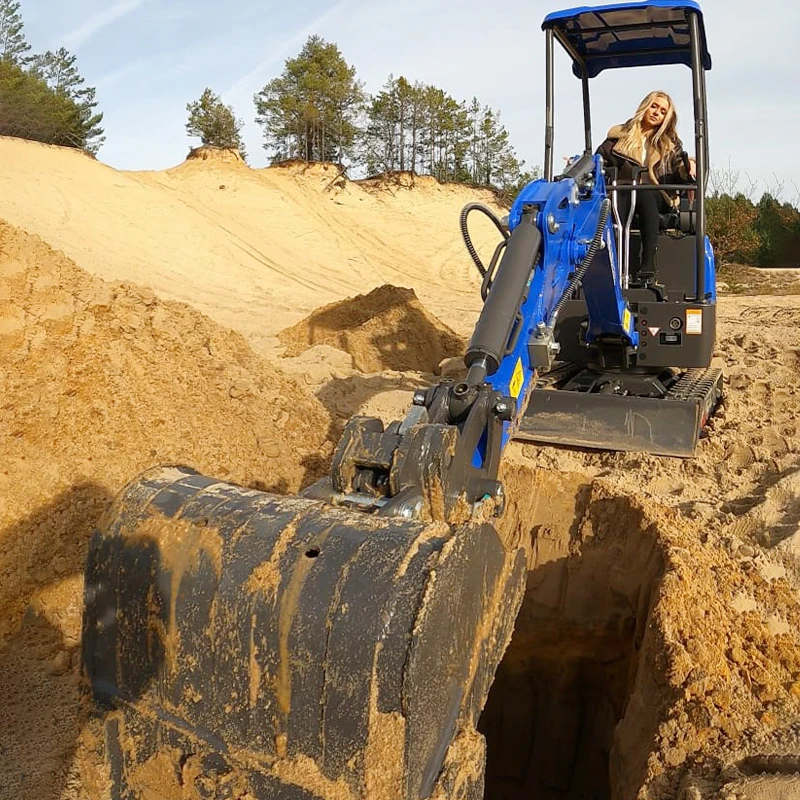 حفارات صغيرة متعددة الوظائف 1 طن 1.2 طن 1.6 طن 1.8 طن 2 طن كابينة مغلقة قابلة للتخصيص