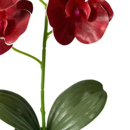 Realistic Faux for orchid Featuring Sculpted Petals and Lustrous Foliage Mounted in Contemporary Square Ceramic-Look White Pot