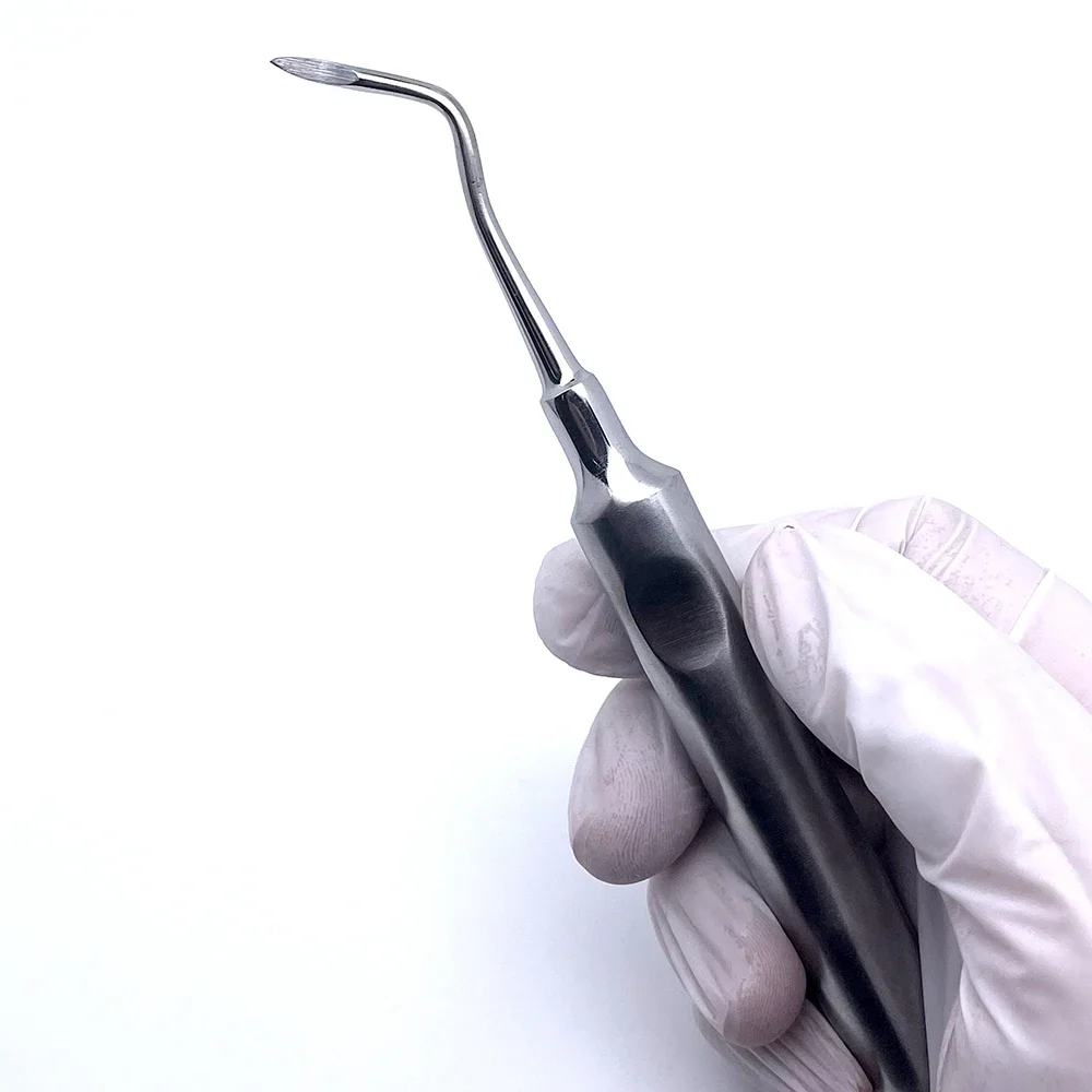 Professional 3Pcs Stainless Steel Dental Extraction Forceps and Curved Root Elevator Set for Tooth Removal Procedures