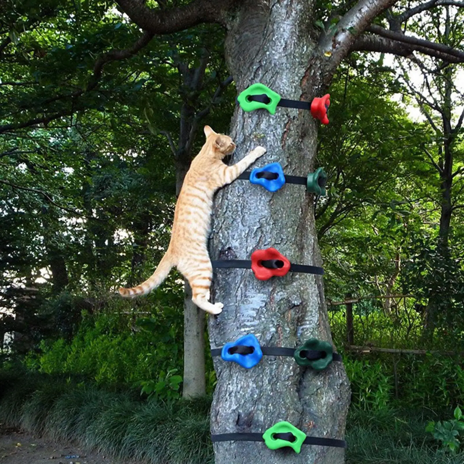 Tree Climbing Gear Adjustable Heavy Duty Obstacle Course Training Equipment For Kids Boys Girls Children Family Climber Backyard
