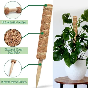 تسلق دعم نبات الطوطم القطب ، وحصة النباتات الداخلية Sphagnum Moss Coconut Fiber Creeper Frame ، مستلزمات الحدائق أعلى 8 مبيعات تسلق شجرة جوز الهند - رقم 8