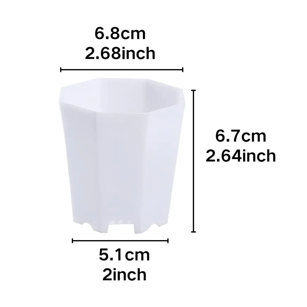 6/12pcs Minimalist Octagonal Small Plant Planters Plastic Drainage Pots for Succulents, Cacti and Micro Greenery Decor YMY