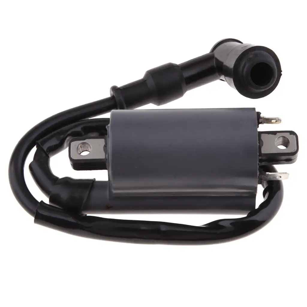 

Motorcycle Ignition Coil for Buyang 300CC Scooter Moped ATV Dirt Bike Engine Performance Replacement Part