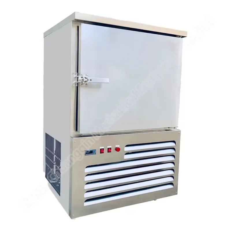 Blast Freezer and Chiller Iqf Freezer for Potato Home Blast Chiller
