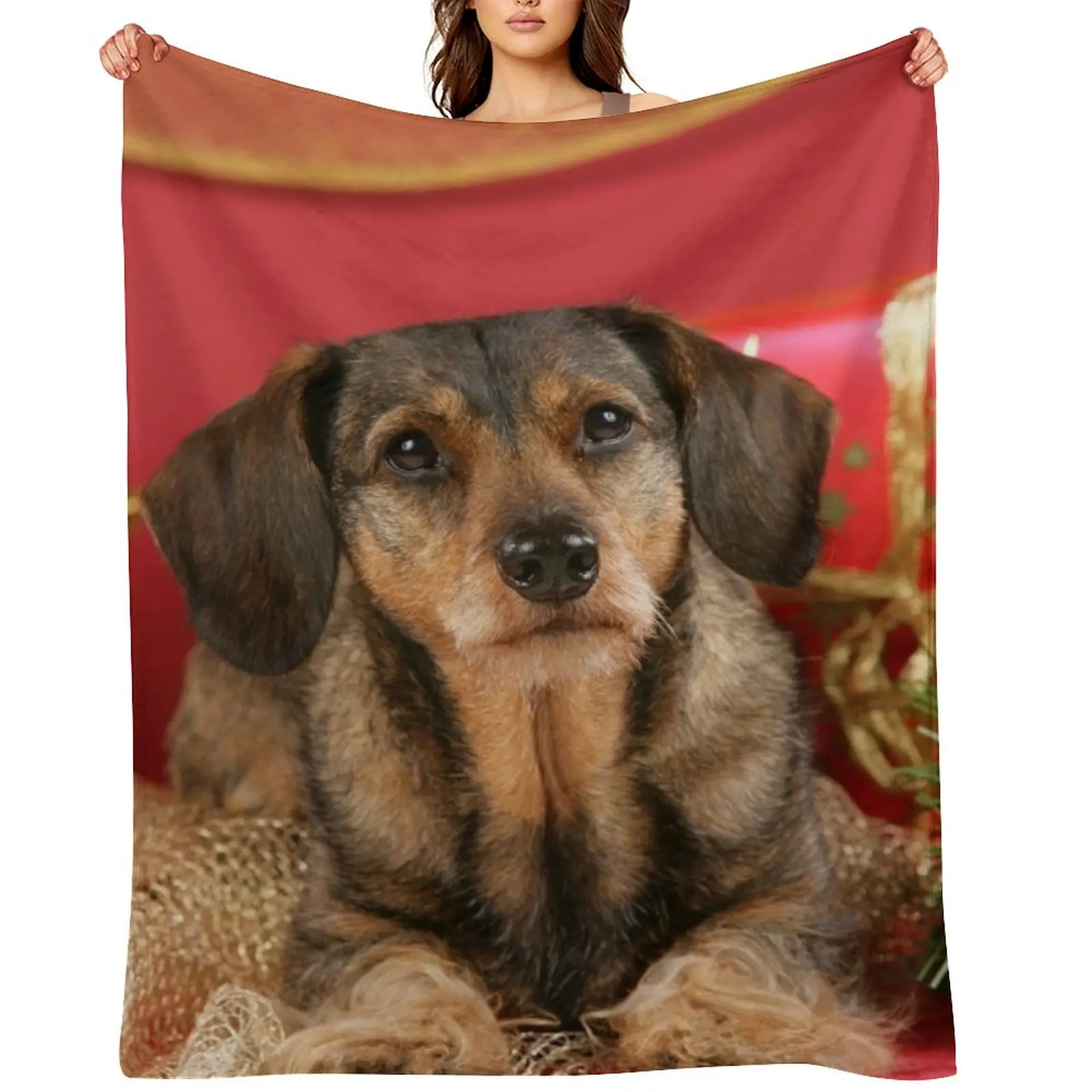 

Sweet wire-haired dachshund dog wishes Merry Christmas Throw Blanket Retros Shaggy Luxury Thicken Blankets