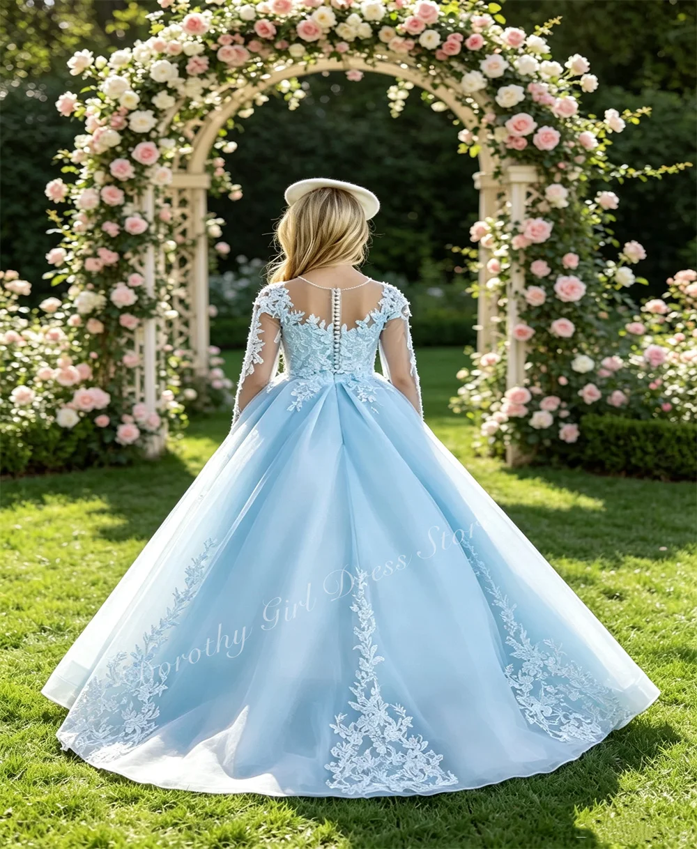 Custom Light Blue Flower Girl Dress Floral Lace Long Sleeve Embroidery Voluminous First Communion Formal Outfit