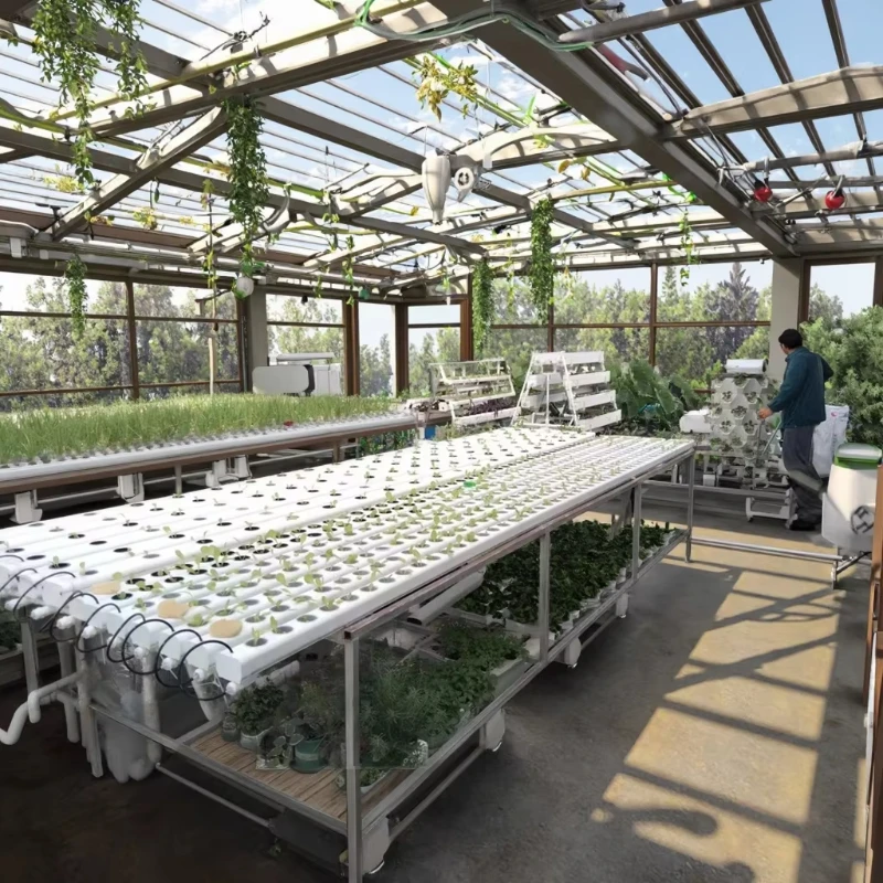 

System Hydroponic Channel Home Water Circulation System