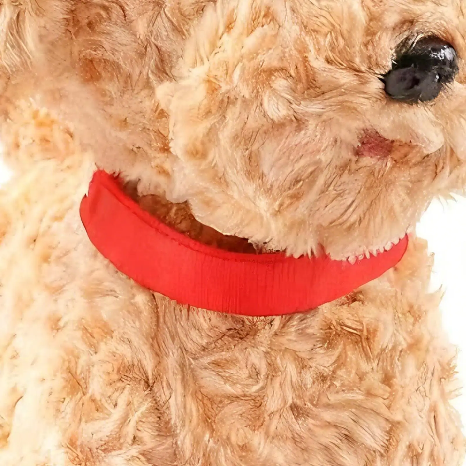 หุ่นยนต์สุนัข ของเล่นตุ๊กตาเสมือนจริง นุ่มนิ่ม ของเล่นอัจฉริยะ ระบบสัมผัส หุ่นยนต์สุนัข AI พร้อมเสียงเลียนแบบ สำหรับเด็กชาย เด็กหญิง ของขวัญวันเกิด วันคริสต์มาส