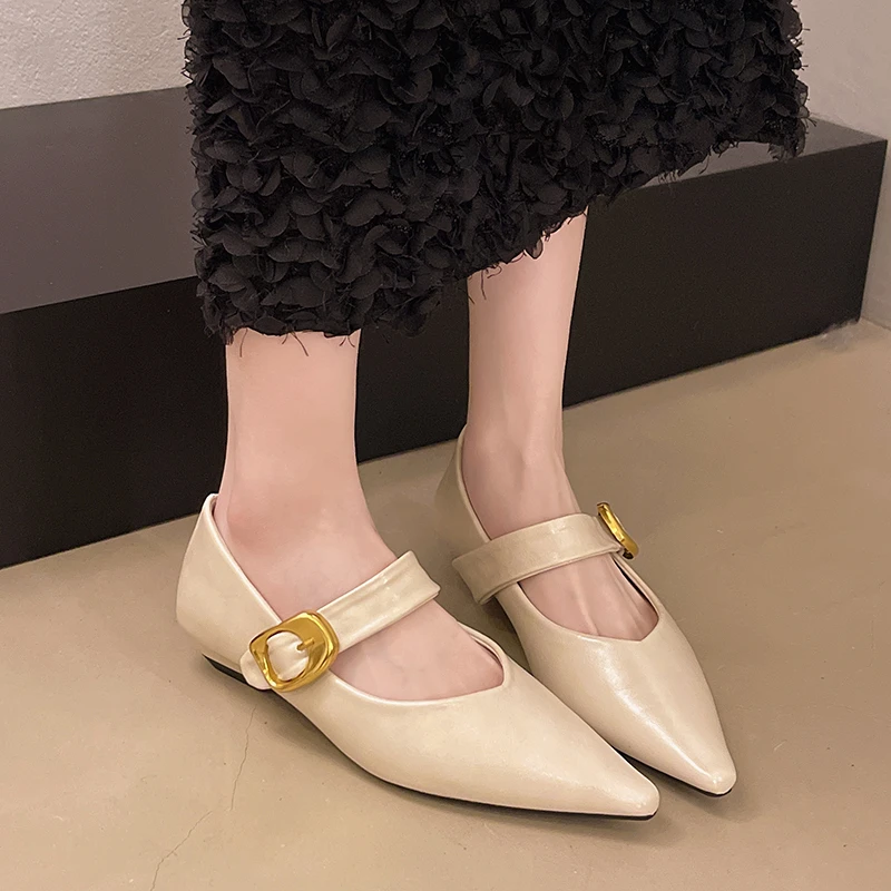 Pointed Mary Jane Single Shoes Women's Spring New Fashion Retro Shallow Mouth Thick Heel Small Leather Shoes
