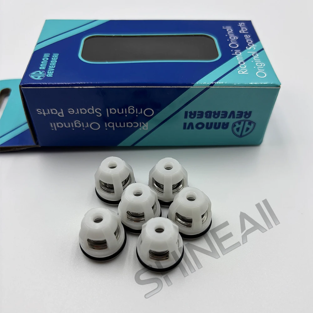 AR (Annovi Reverberi) Pump Check Valve Kit AR2186 for Pressure Water Pump Replacement RC14.16 RSV RC RCA RCVU Series