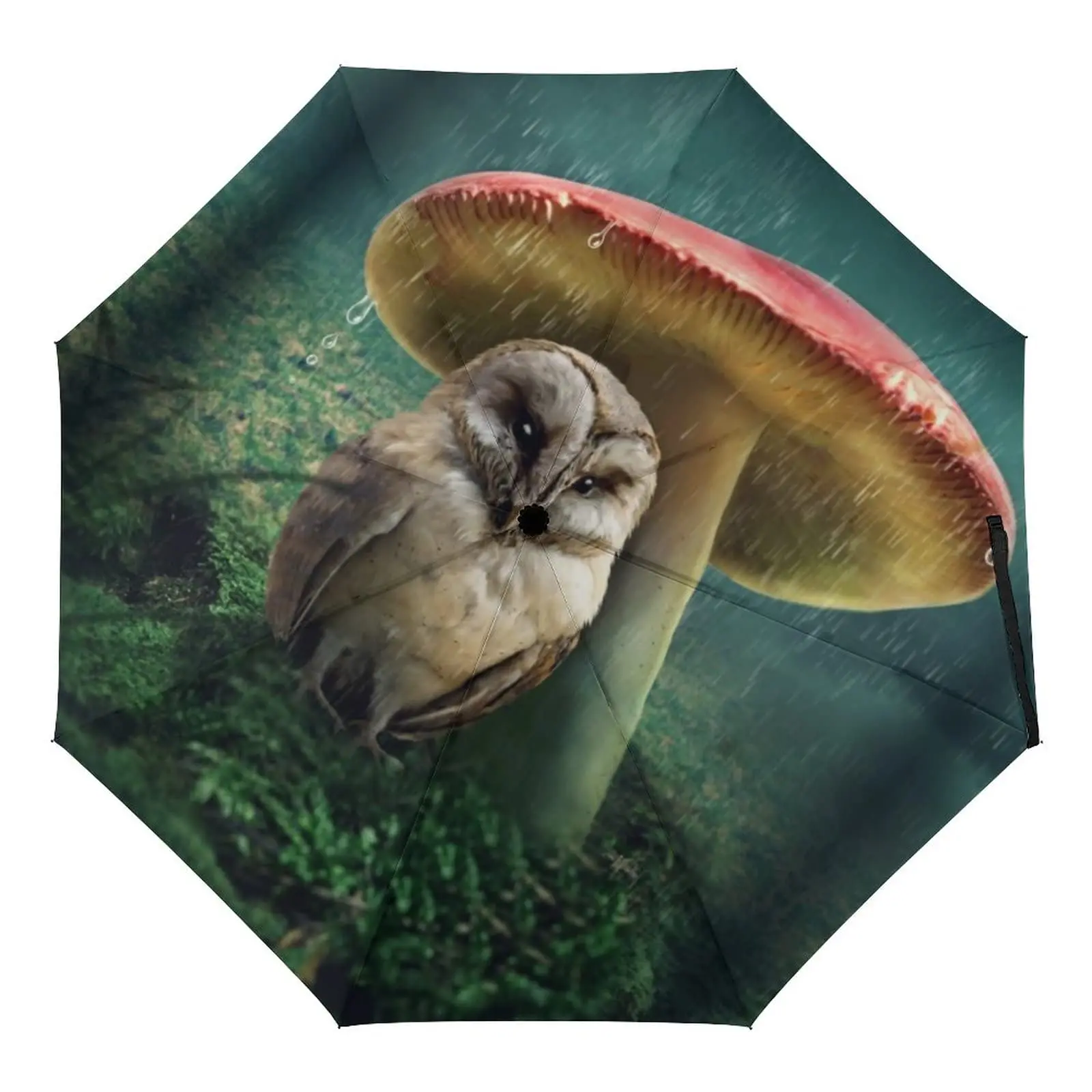 

Cute Cartoon Owl Mushroom Folding Umbrella Nocturnal Animals Compact Windproof Travel Umbrellas Rain Sun for Adults Teens Kids