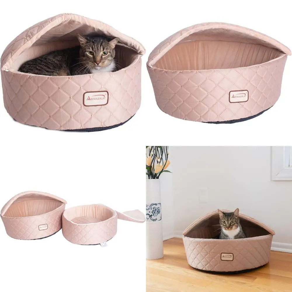 Mittelgroßer, leichter Aprikosen-Katzen-Ruhfleck