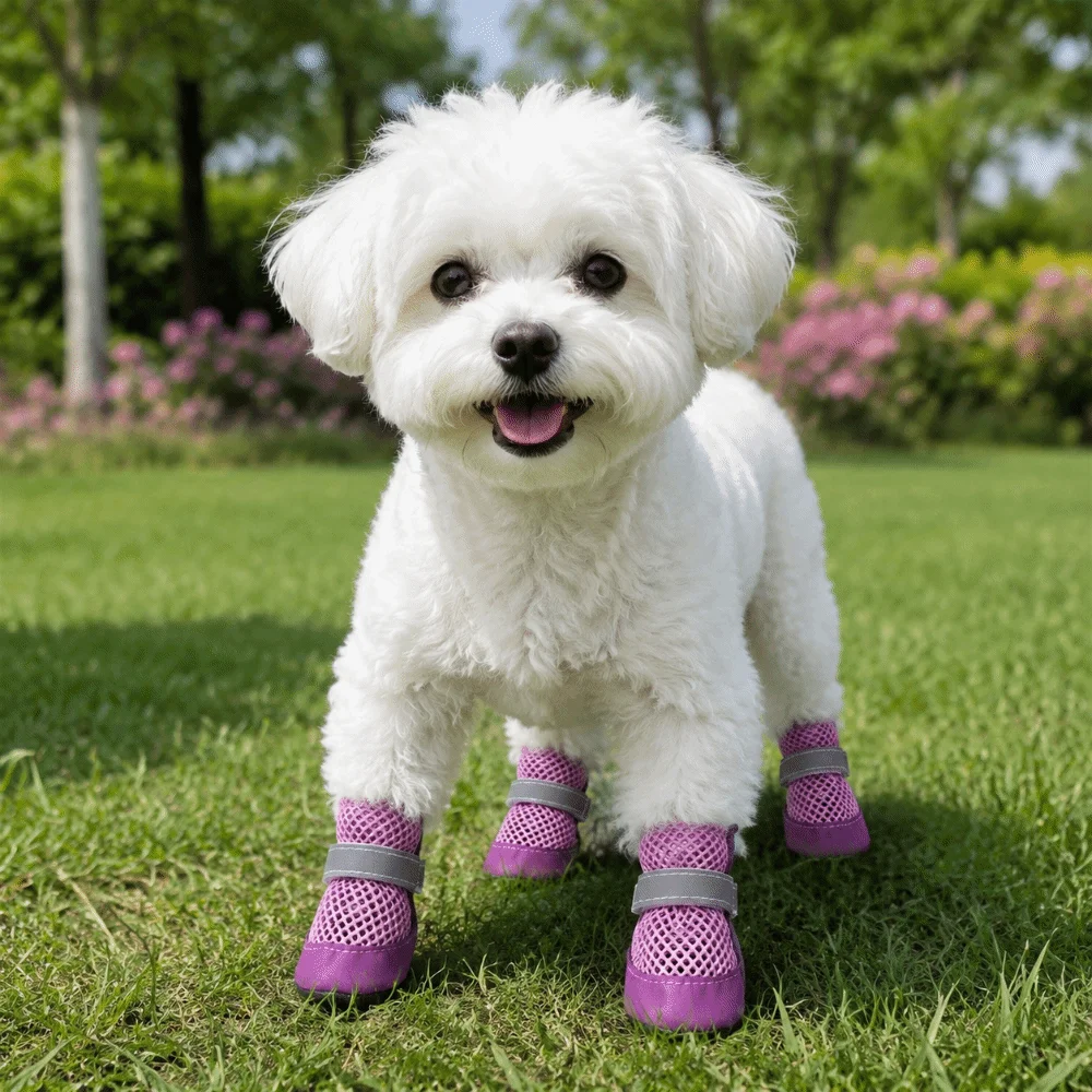 4 adet/takım köpek botları kay - Sneaker Protector incelemesi ve fiyatı