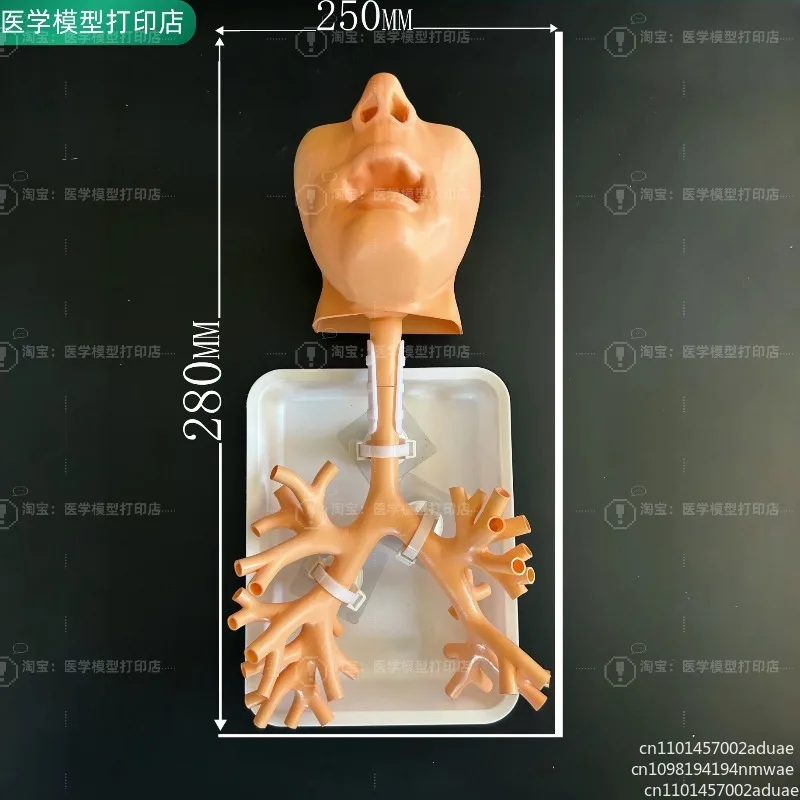 Bronchoscopy training model fiber level 4