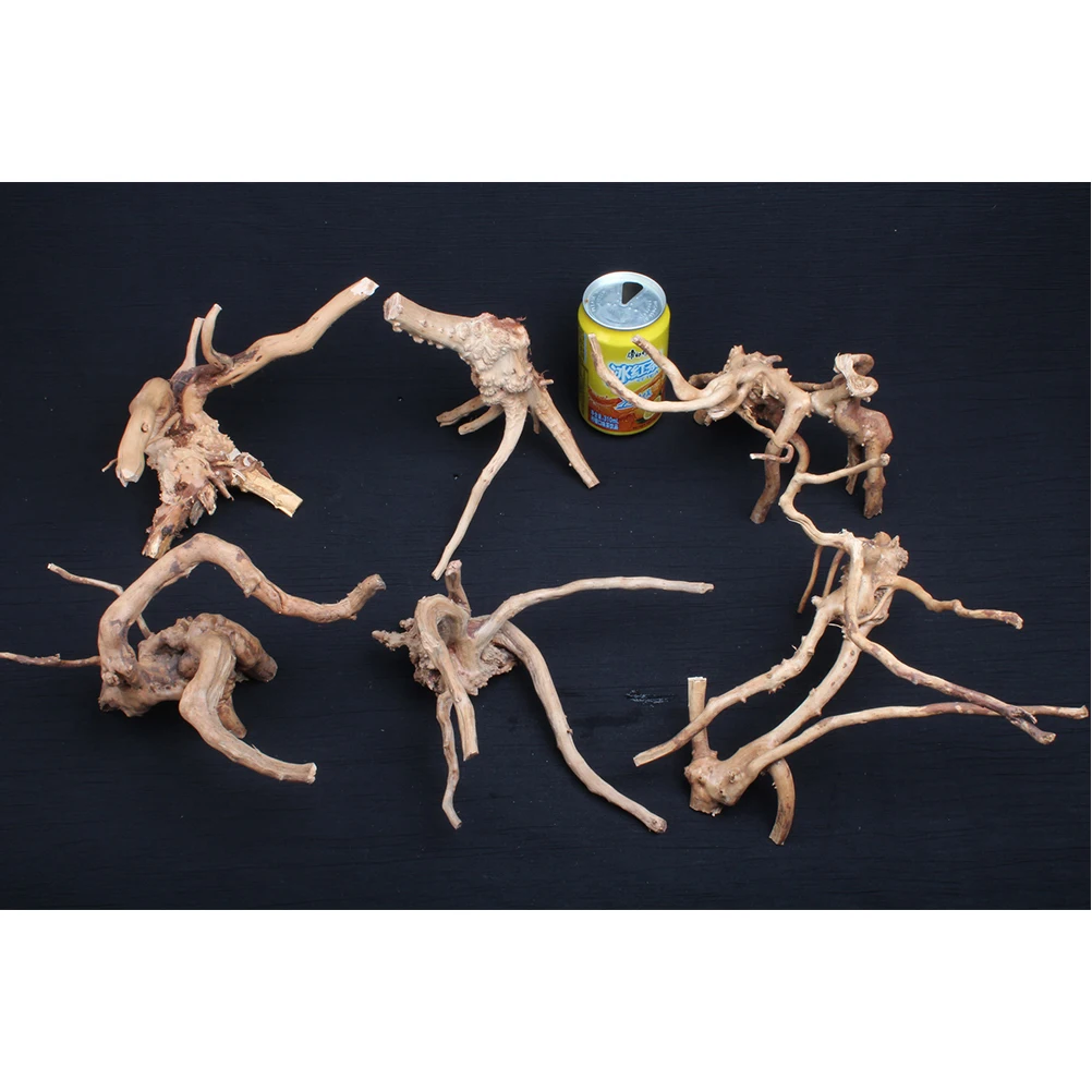 

Mini Roots Terrestrial Environment Decor Aquarium Ornament Miniature Landscape Tree Bamboo
