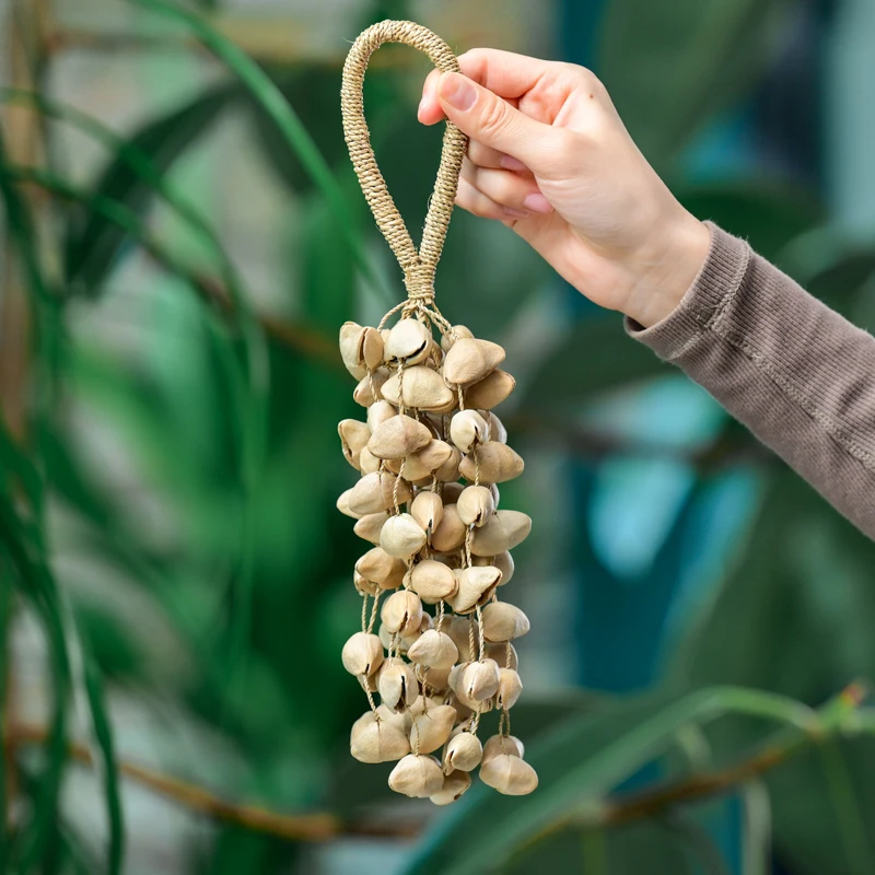 Chacha Music Healing Instruments South African Natural Plant Shell Nut Seed Shell Wind Chimes Of Chacha XXL