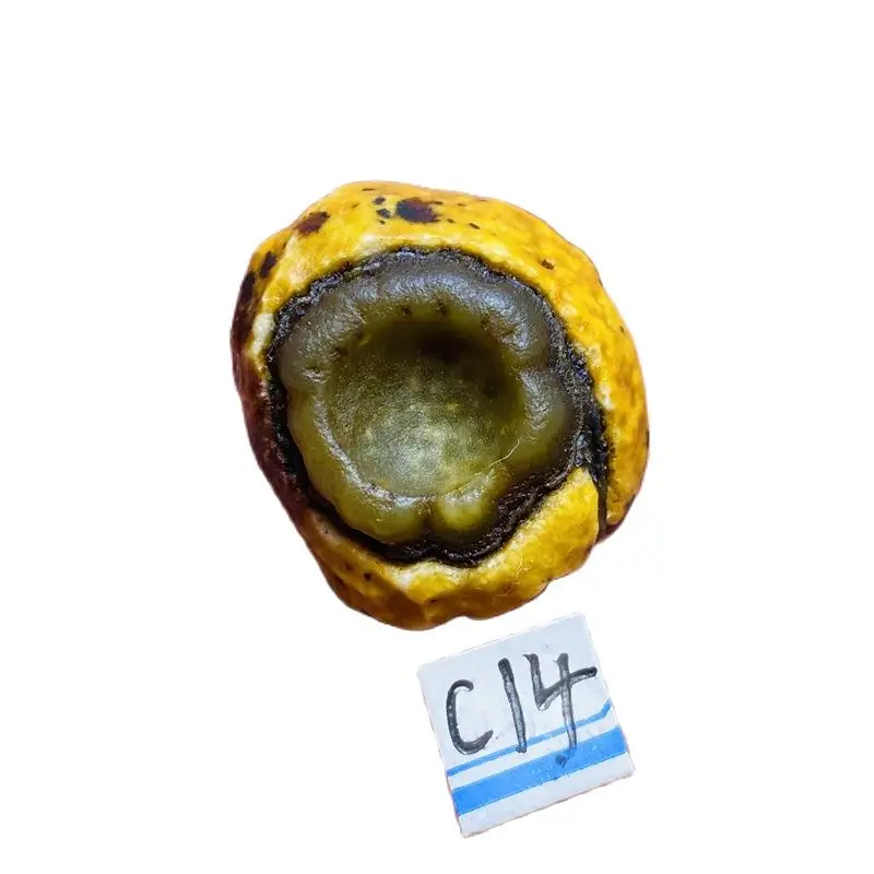 Natural Yellow Gobi Agate Lucky Stone Decoration Halloween Free Shipping
