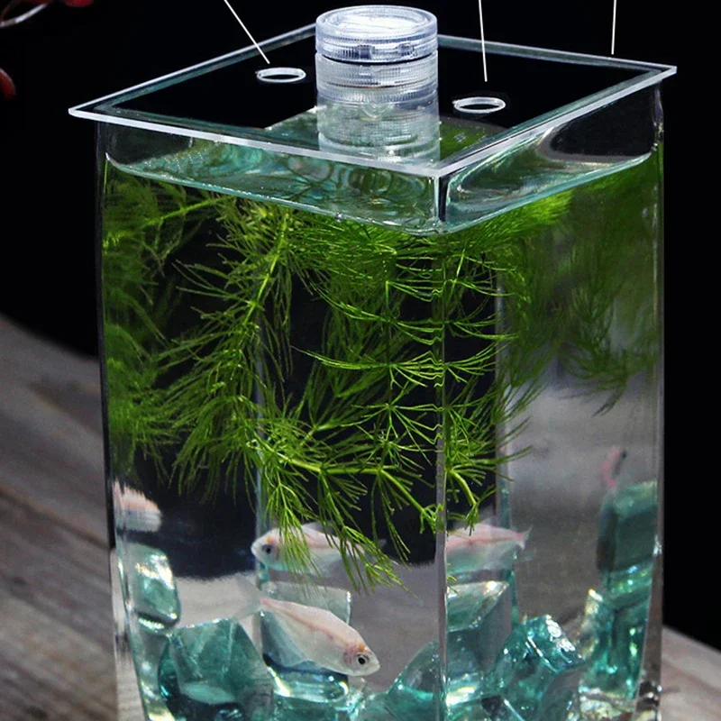 Italian Style High-end Modern Aquariums Designer Originality Ornament Living Room Aquariums Bedroom Pet Products Fishbowl HBHD