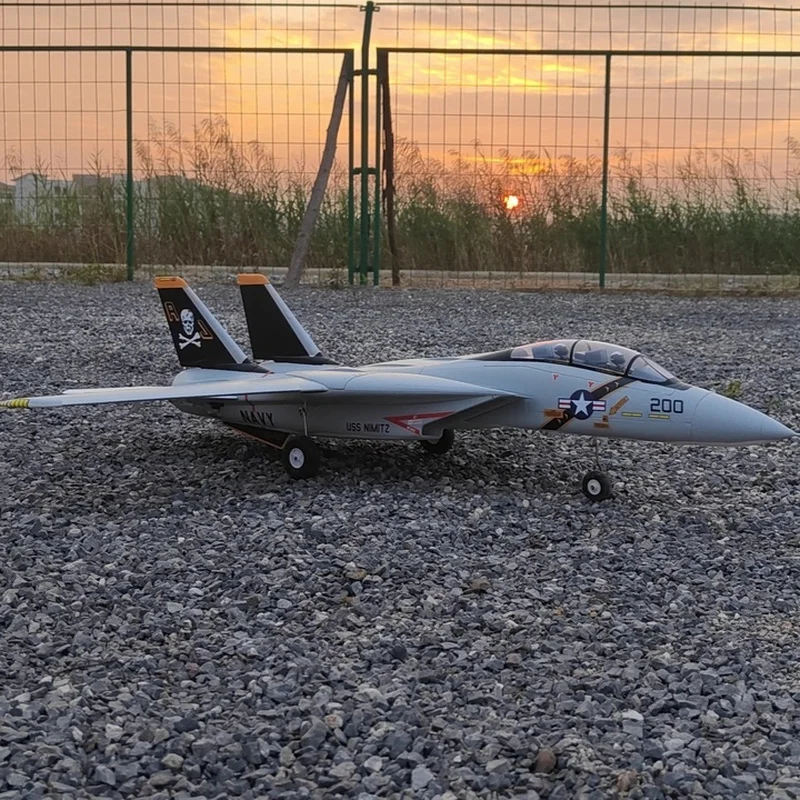 Hot Sale Rc Plane Dual F-14 