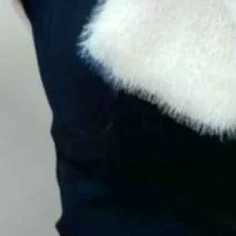 Women Winter Warm T… - image