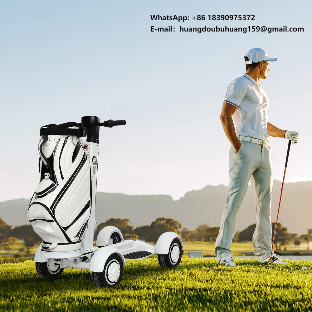 

Best Selling Mini Golf Board Scooter Four Wheels Golf Skate Caddy All Terrain Electric Golf Skateboard