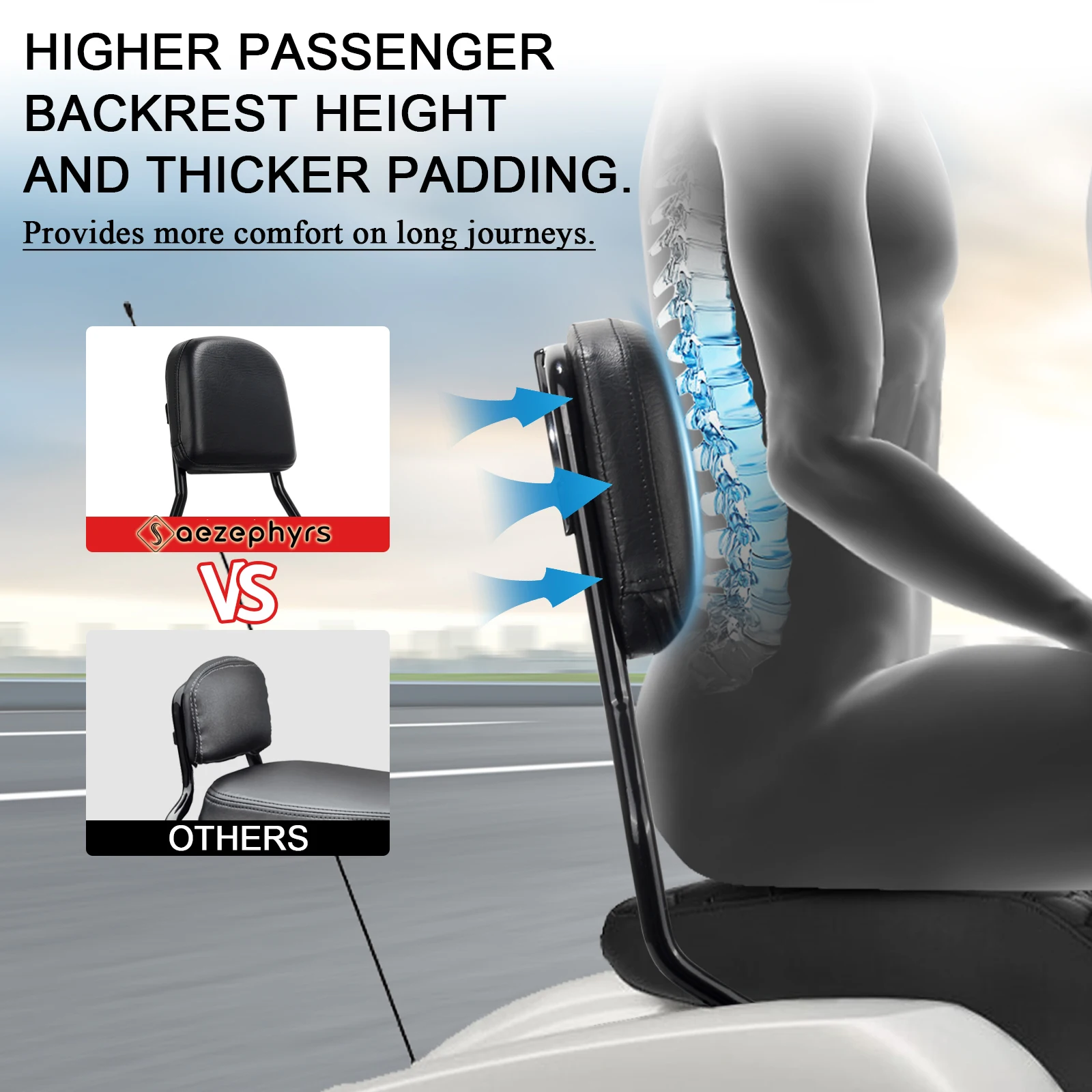 Motorcycle Standard Sissy Bar  - Leather Workbench 评论和价格