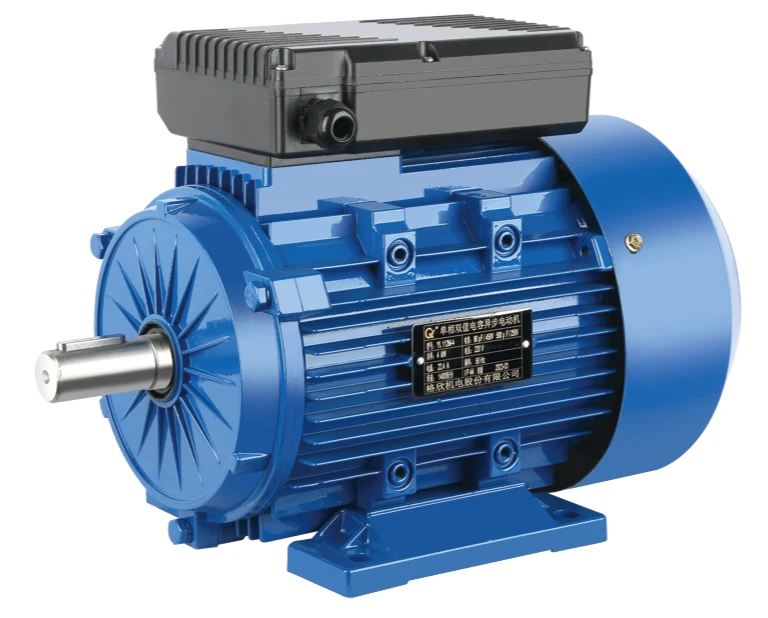 

ML Series Ie3 Ie4 3kw-2pole 4hp 230v 50hz Low Noise Single Phase AC Induction Motor Aluminium Waterproof Fan Electric Motors