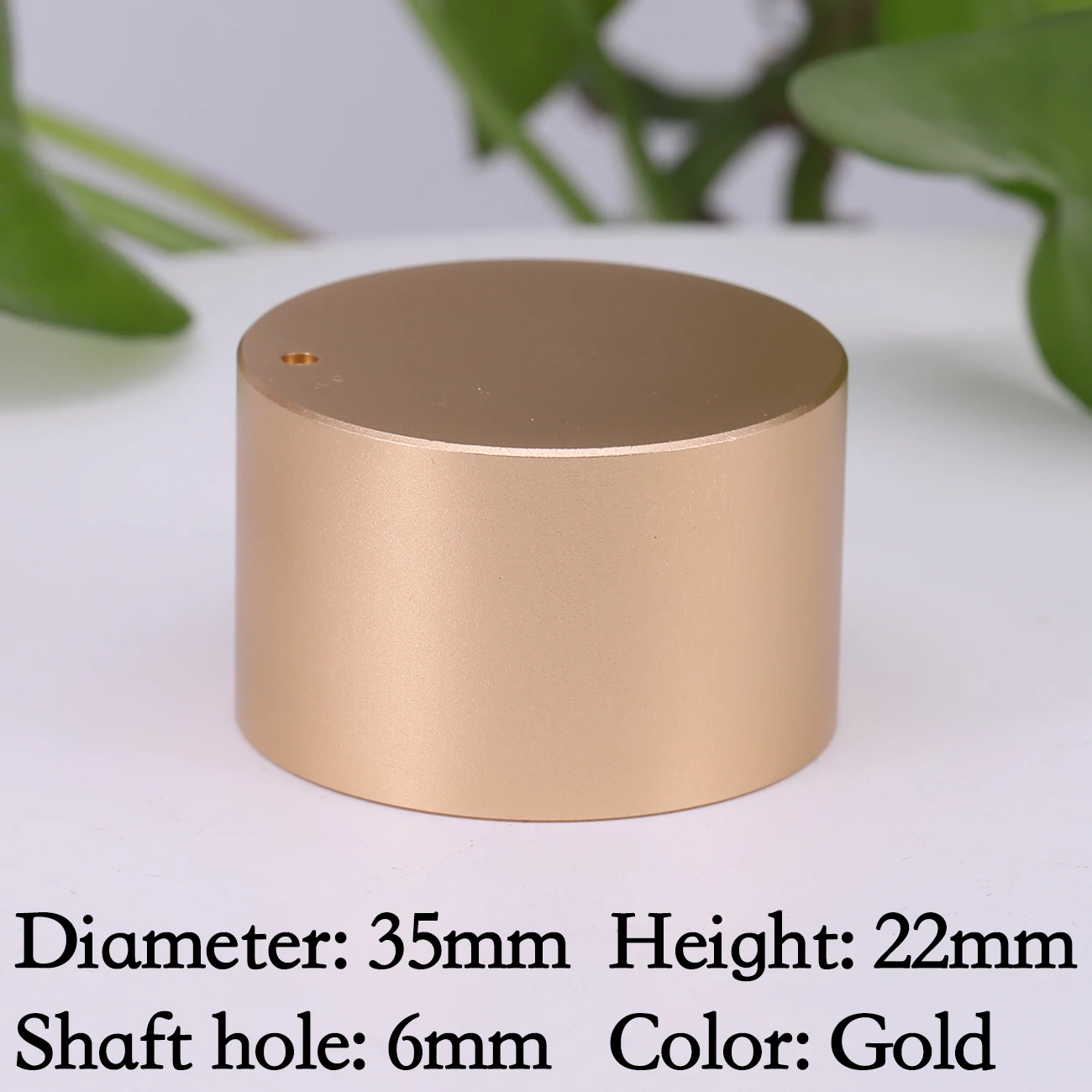 35x22mm Gold 1PC