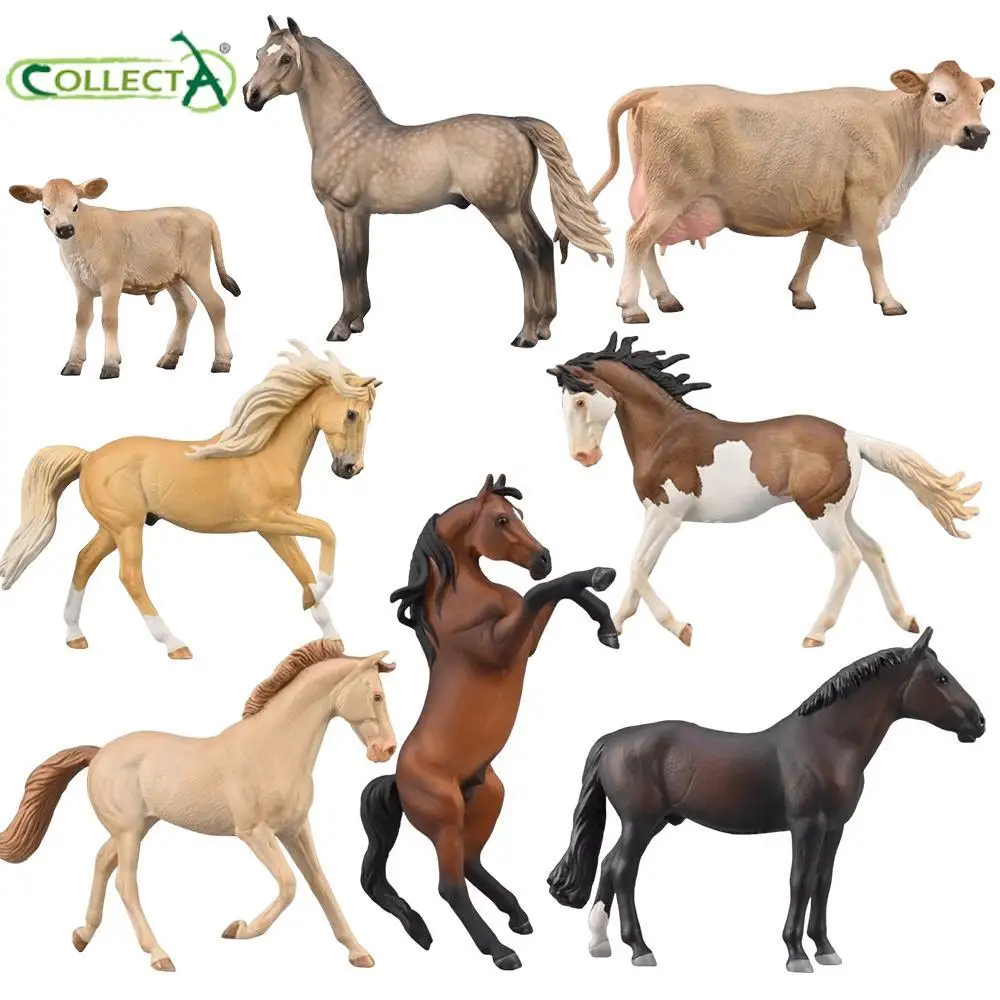 2023Collecta PRE Holstein Morgan Mustang Arabian horse