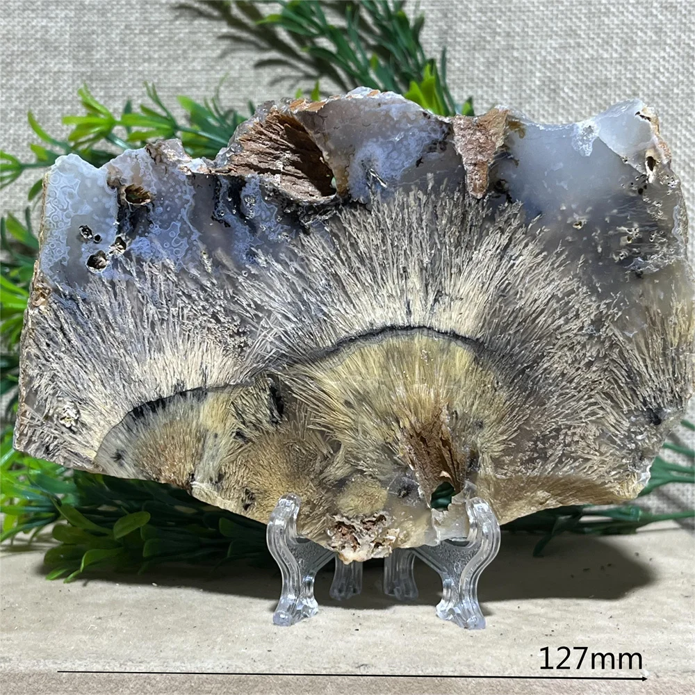 Rare Natural Crystal Hair Agate Slab, Slice Decoração, Quartzo, Cristal, Reiki, Beleza, Cura Minerais, Stand, Alta Qualidade