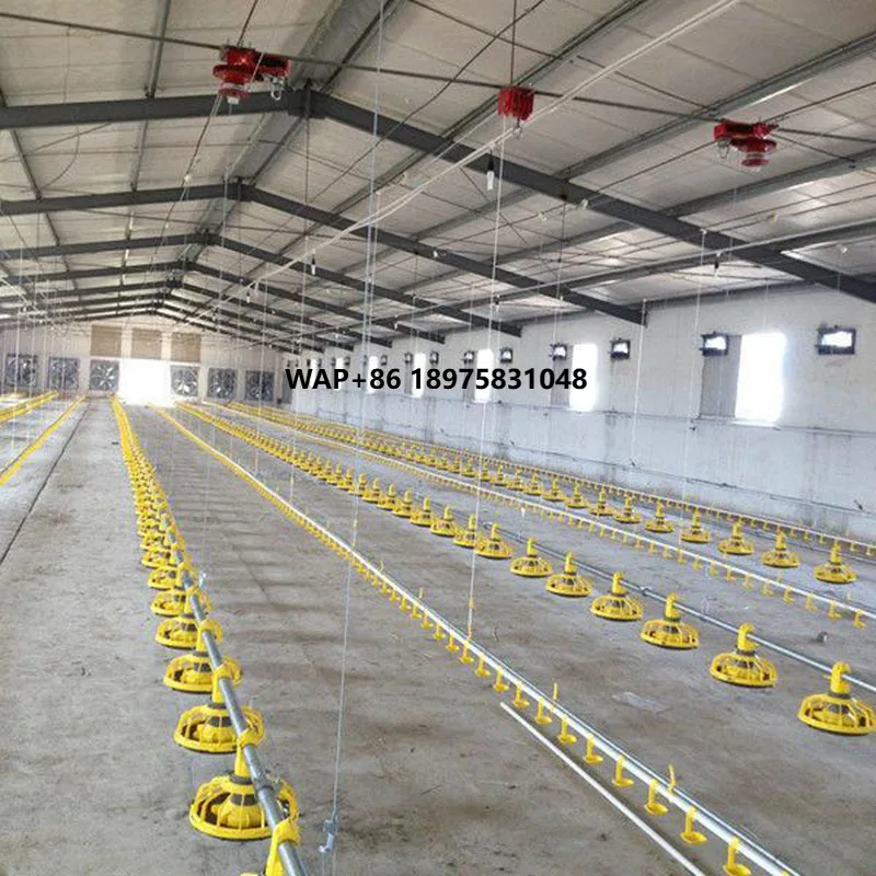 Factory Modern Automatic Poultry Chicken Broiler Breeding Equipment for Sale