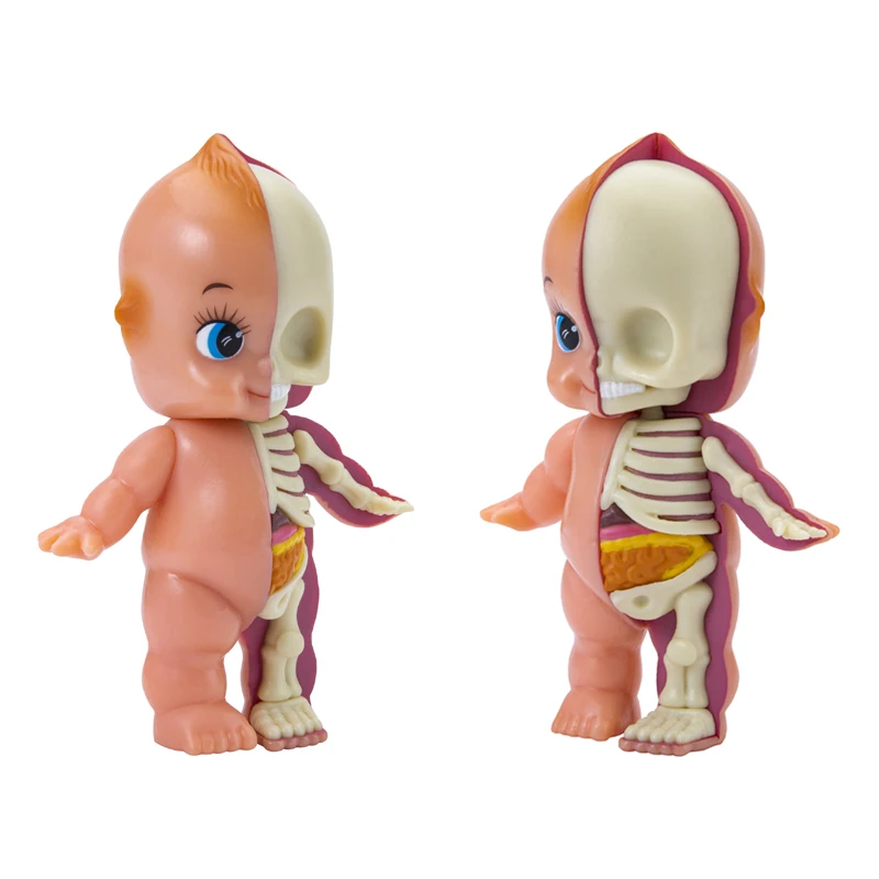 10CM 4D Master Half Baby Cupid Anatomy Model Funny Skeleton  Anatomical Cartoon Figurine Model Halloween Decoration Gifts