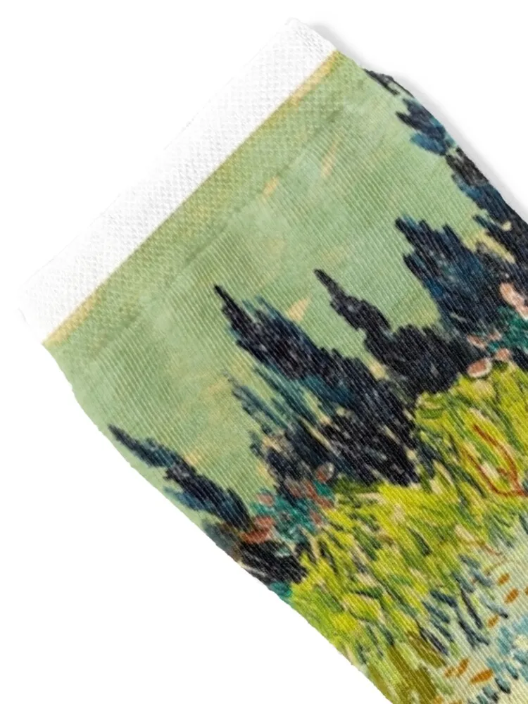 Van Gogh - Garden at Arles Socks Stockings shoes Men's Socks Women's