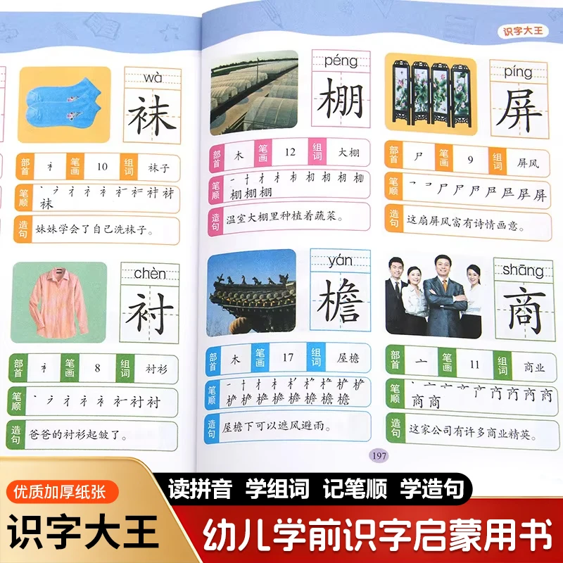 Learning Chinese Characters: An Enlightenment Book for Preschool Children's Character Recognition
