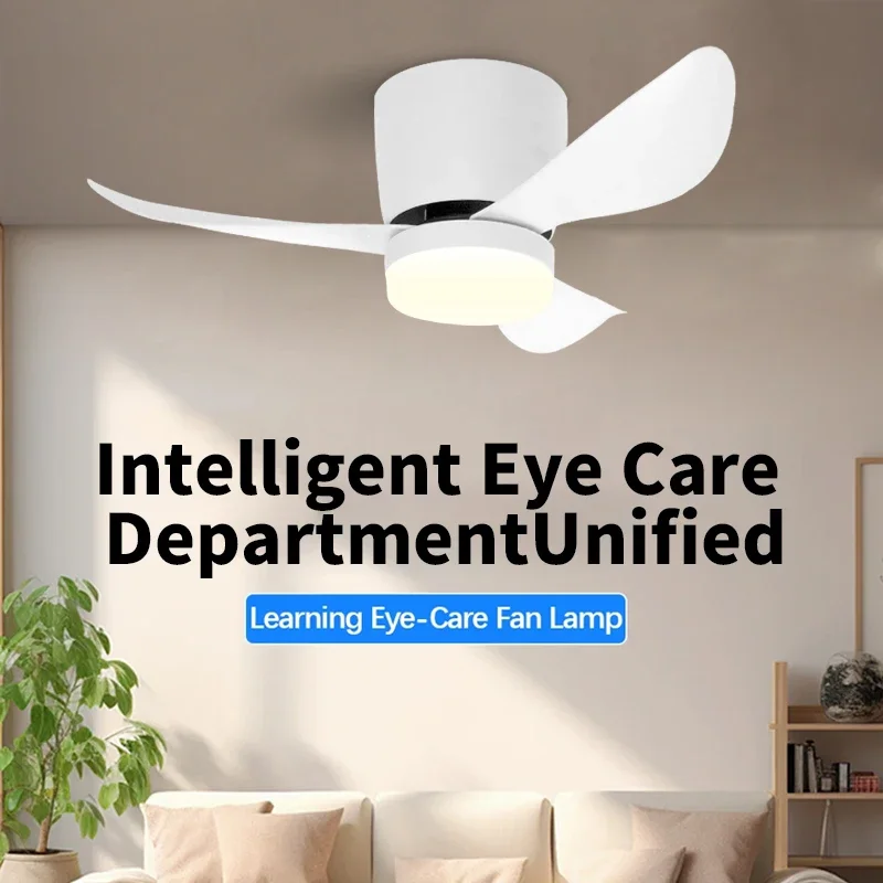 Low Floor Modern LED Ceiling Fan with Variable Frequency DC Remote Control, Household Use, Ventilation Fan, Motor Electric Fan